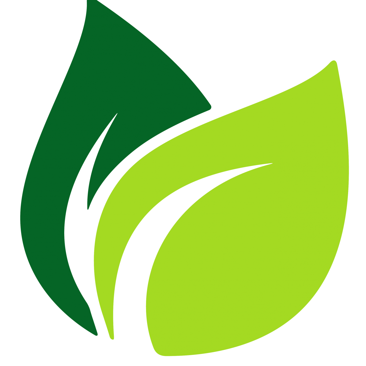 PAS VN logo